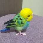 作品羊毛フェルトミニセキセイインコ(オーダー品)