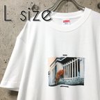 作品【送料無料】ねこのぞき。フォトTシャツ センチメンタルカラーに