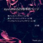 作品ayunatan529様専用ページ