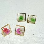 作品～春～スクエア×押し花のピアス(イヤリング)