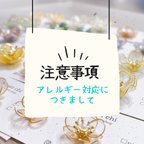 作品【アレルギー対応につきまして】