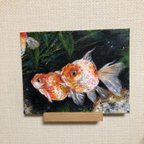 作品金魚