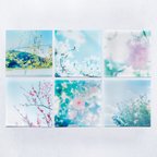 作品野花のしかくいポストカード - 選べる6枚セット（桜・ムクゲ・コスモス・キクモモ・木蓮・乙女椿）写真・正方形・6種類