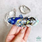 作品Coelacanth・シーラカンスのオルゴナイト  /星空と海の生き物たち