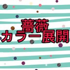 作品薔薇のカラー展開・在庫一覧