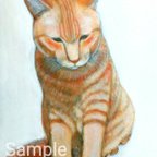 作品虎猫、庭にて　真作　アクリル、色鉛筆絵画