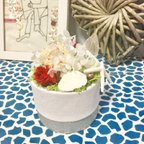 作品《母の日》🌷🐚プリザーブドフラワー