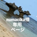 作品numacika様専用ページ