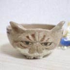 作品エキゾチックの植木鉢🐈