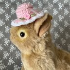 作品ウサギの帽子