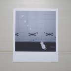 作品ポラロイド型 写真×イラスト作品「白猫と蝶」(ステッカー)