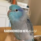 作品karinnonko様専用ページ