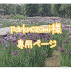 作品parknozomi様専用ページ