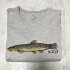 作品どじょう　Tシャツ　キッズ