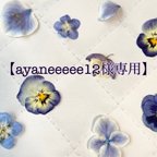 作品【ayaneeeee12様専用】BIG FLOWER earrings