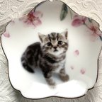 作品猫と桜の小皿・その1