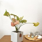 作品1点限定販売☆観葉植物　シンゴニウム　ネオン　インテリアグリーン　グレー鉢　5号