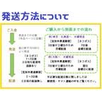 作品発送方法について