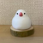 作品もち寝白文鳥さん＊粘土