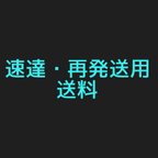 作品ー速達＆再発送のお手続き用ー