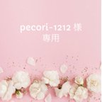 作品pecori-1212 様専用