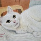 作品オーダーメイド　色鉛筆画　猫の絵　犬の絵　似顔絵　ねこ　いぬ　肖像画　ペットロス