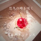 作品【世界に一つ！】悠久の時を咲く薔薇のネックレス