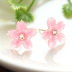 作品【受注製作】透明な桜のピアス　Clear cherry blossoms earrings【つまみ細工】