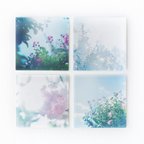 作品野花のしかくいポストカード - 選べる4枚セット（桜・サルスベリ・ムクゲ・ユキヤナギ）｜サクラ・さくら・百日紅・写真・正方形