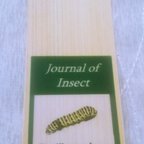 作品キアゲハの幼虫しおり（Journal of Insect）