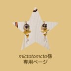 作品mictotomato様専用　シマリスさんのイヤリング