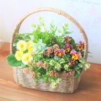作品❀春のお花のバスケット　可愛いお花の寄せ植え　贈り物にも
