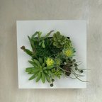 作品多肉植物と小花のフレームアレンジ