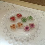 作品【再販】押し花ピアス 