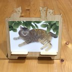 作品木製ポストカードたて【５匹の子猫】