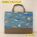 作品【受注生産】入学グッズ⭐︎海の仲間⭐︎⭐︎小さめレッスンバッグ（底マチあり）