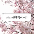 作品【cri7aaa様専用】