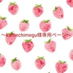 作品〜kamechimegu様専用ページ〜