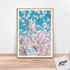 作品青空に映えるピンクの桜の花