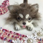 作品ハンドメイド　羊毛フェルト　チワワ　犬　手乗りサイズ