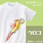 作品ウロコインコTシャツ【受注生産】