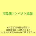 作品【お急ぎの方へ】宅急便コンパクト追加送料