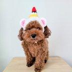 作品くまさんのケーキ帽子 犬用&猫用 お誕生日用