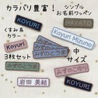 作品同色同ネーム3枚セット＊シンプルお名前ワッペン＊中＊くすみカラー