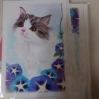 作品ポストカード2枚セット（朝顔と猫）