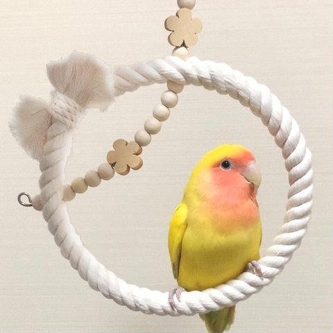 安心で安全《お花のぬくぬくブランコ》Ｍサイズ✩.*˚鳥ブランコ-インコブランコ