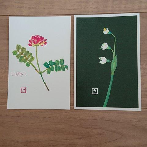 季節の絵はがき(ポストカード) 「ラッキーな花」と「すずらん」2枚1セット