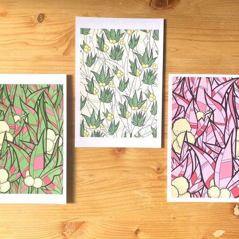 Gum Leaves Postcard Set  ユーカリの葉っぱはがきセット