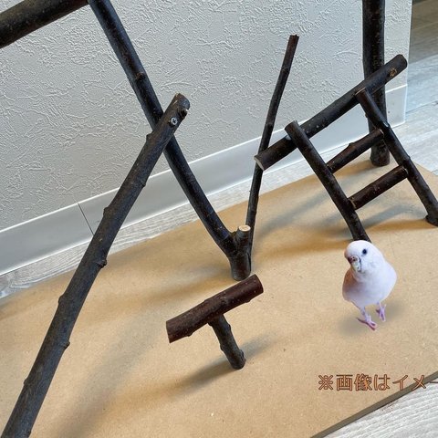 バードジム（中）小型〜中型インコ向け