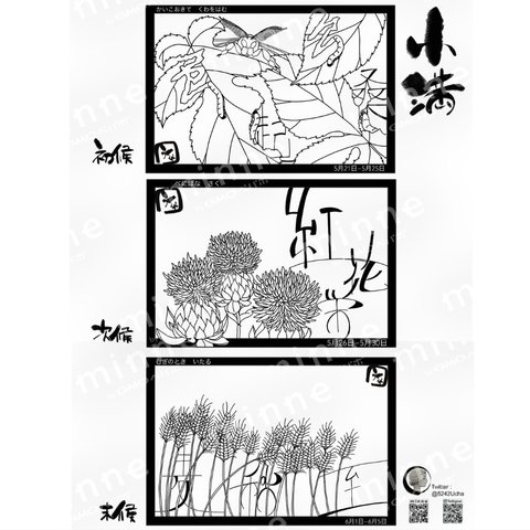 【切り絵図案】七十二候　小満【自分で作るカレンダー】